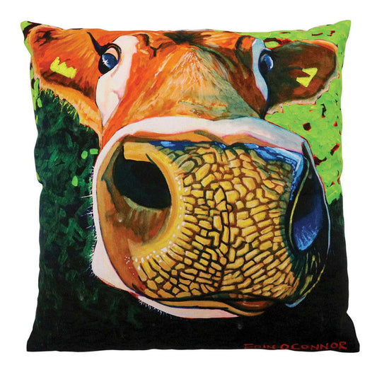 Eoin O Connor Reach For The Stars Cushion