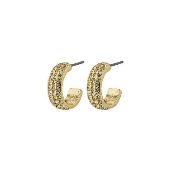 Pilgrim Earrings