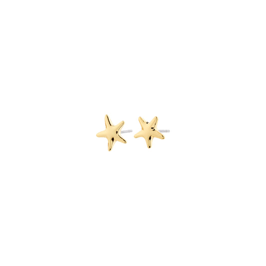 ANDRÉ earrings gold-plated