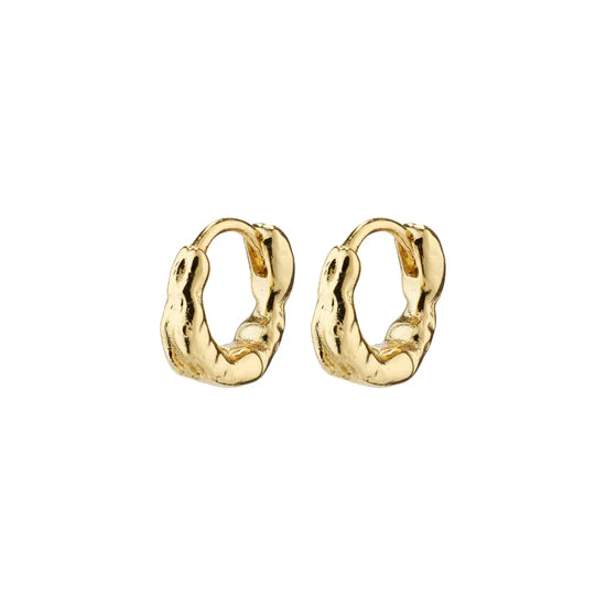 Pilgrim Earrings