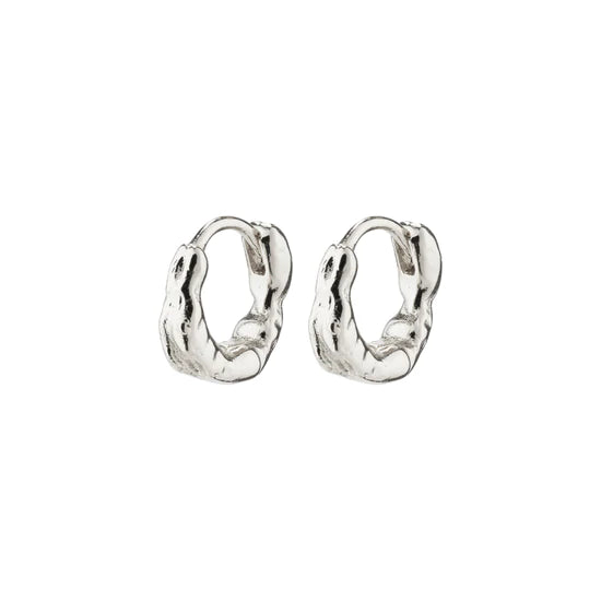 Pilgrim Earrings