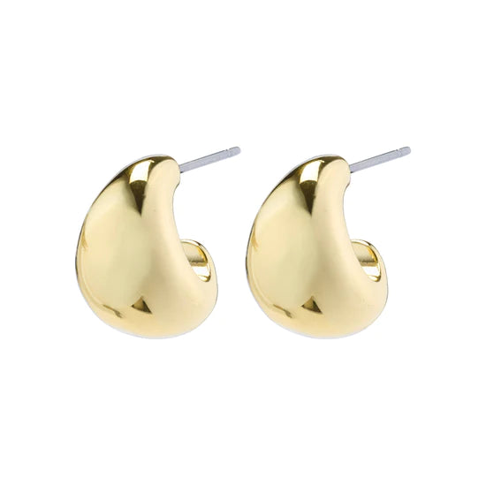 Pilgrim Earrings