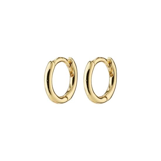 Pilgrim Earrings