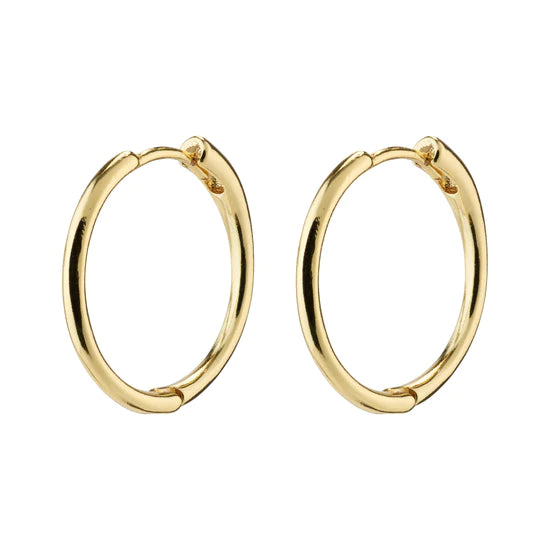 Pilgrim Earrings