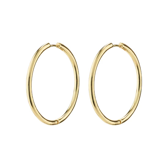 Pilgrim Earrings