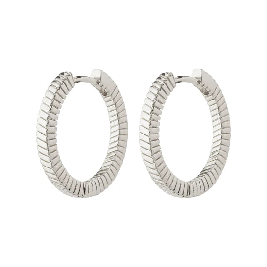 Pilgrim Earrings