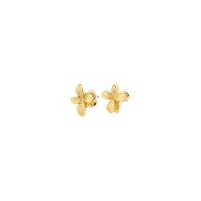 Pilgrim Earrings
