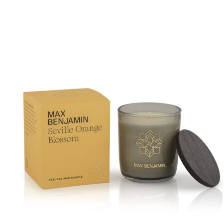 Max Benjamin Candles