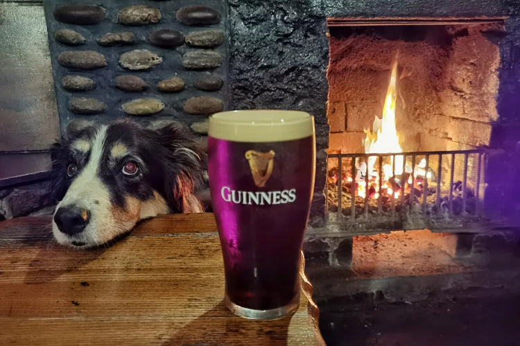 Iggy and Frida’s Calendar