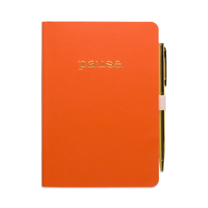 Gratitude Journal Pause