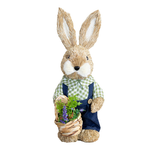 Easter Bunny with Basket - Boy