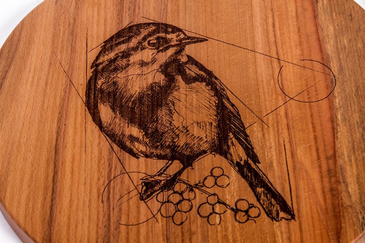 The Robin (An Spideóg)