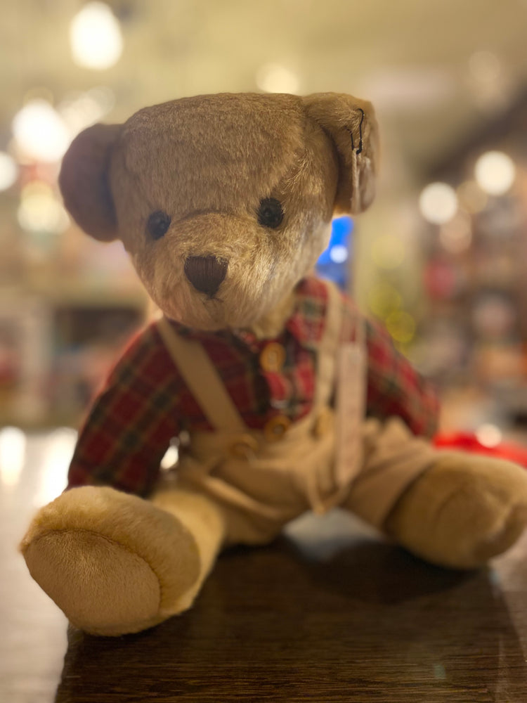 Cottage Collection Teddy Bear red check shirt
