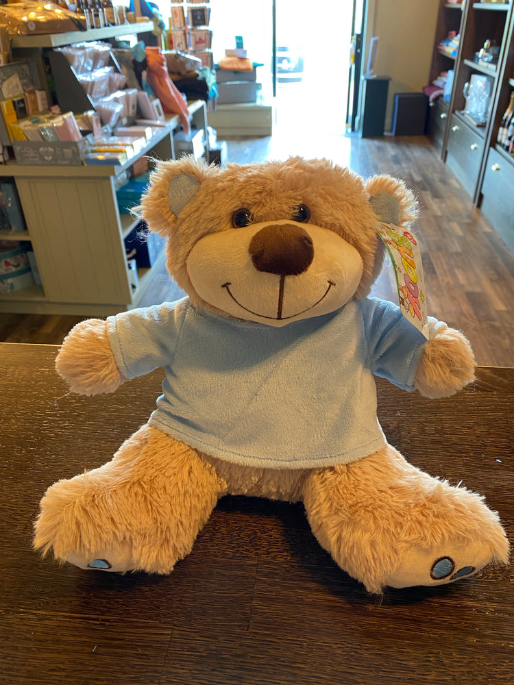 Small Blue Paws Bear