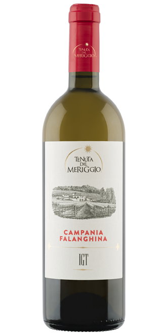 Tenuta Del Meriggo - Campania Falanghina