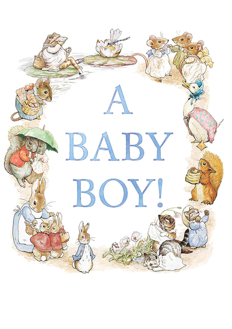 Baby Boy by Beatrix Potter