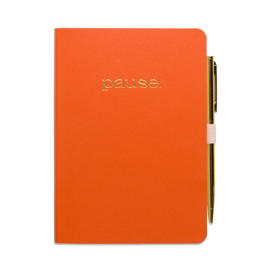 Gratitude Journal Pause