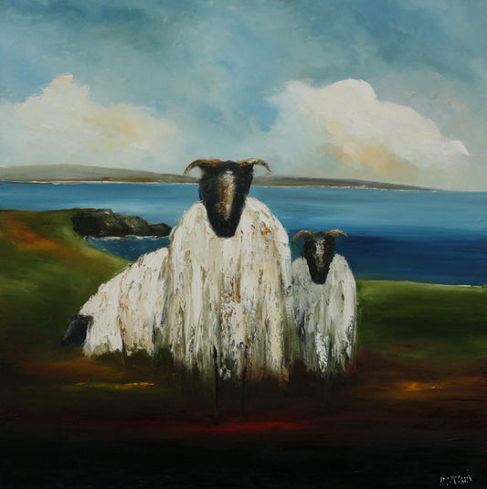 Wild Atlantic Sheep